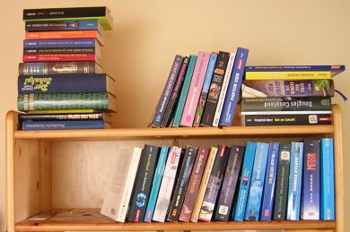 TBR Bücherregal